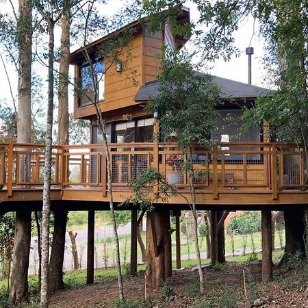 Casa Na Arvore Morada Dos Vagalumes Farroupilha Exterior foto